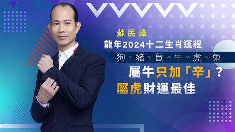 蘇民峰2024龍|蘇民峰2024龍年十二生肖運程(極詳細) 超詳盡一次過睇 屬龍健康。